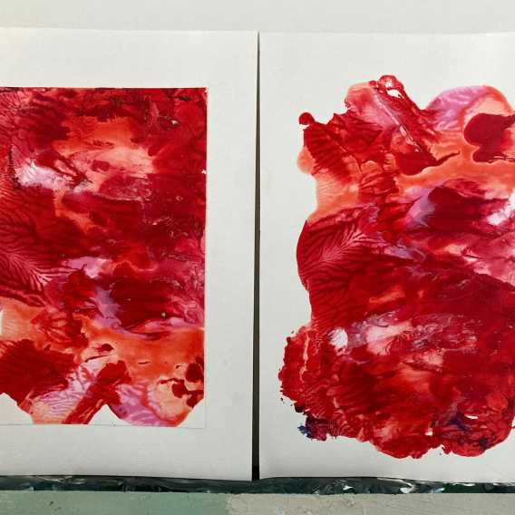 Abstract monoprints in red