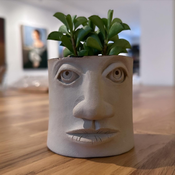 A face pot with a plant for hair